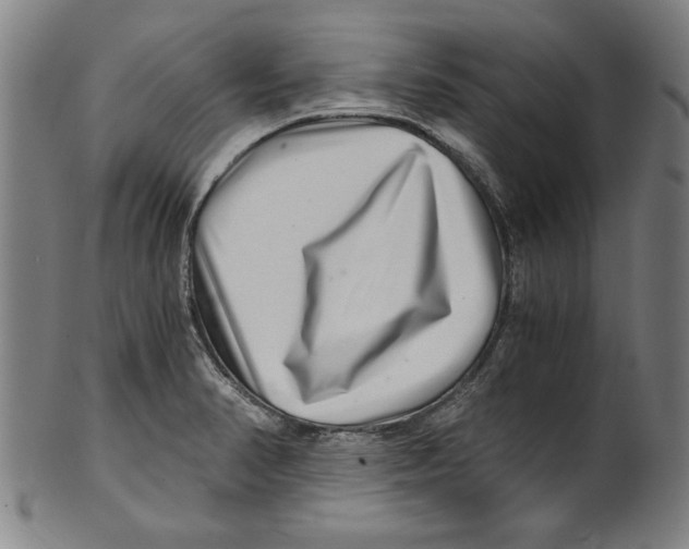 X0000100901374200807220941