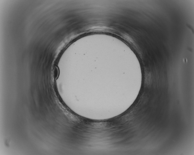 X0000100901376200807220941