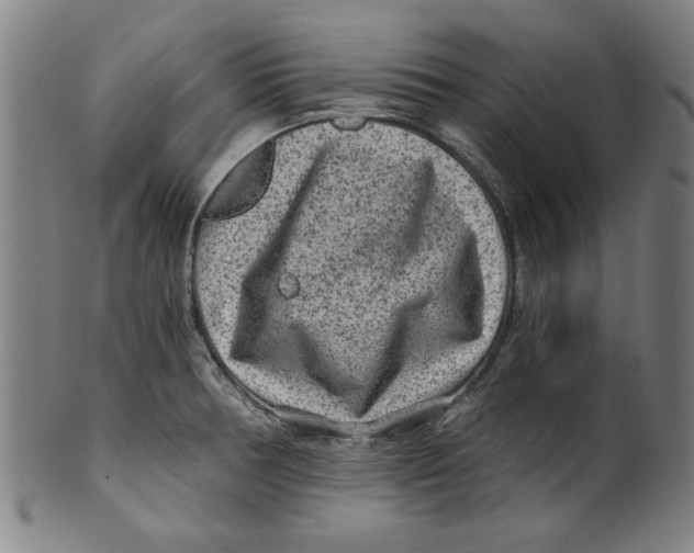 X0000100901378200807220941