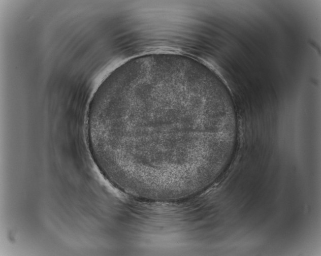 X0000100901379200807220941