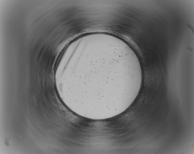 X0000100901380200807220941