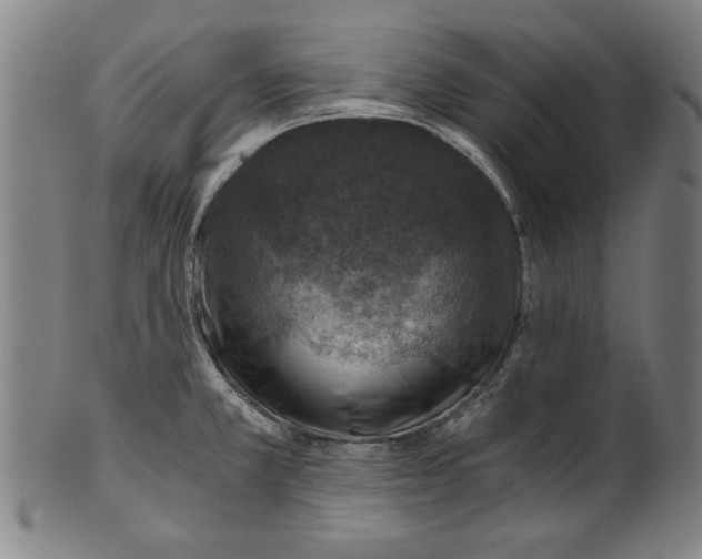 X0000100901381200807220941