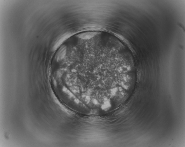 X0000100901383200807220941