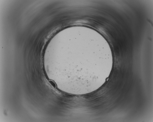 X0000100901384200807220941