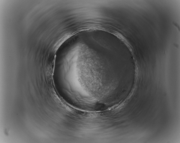 X0000100901385200807220941