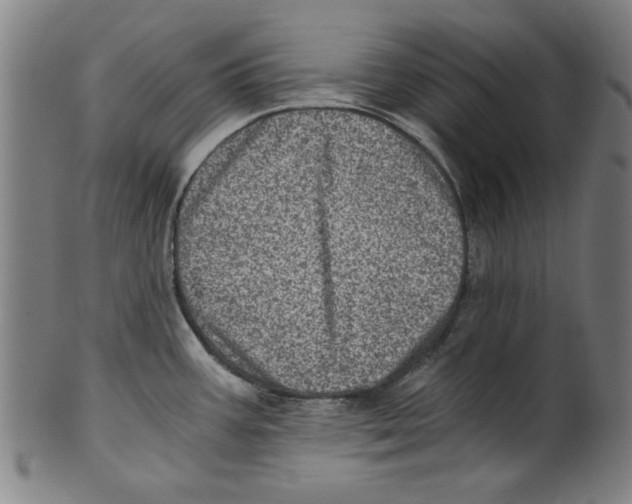 X0000100901387200807220941