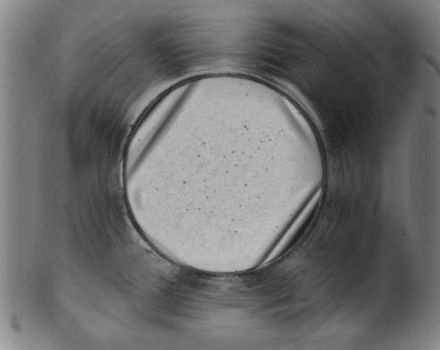 X0000100901388200807220941