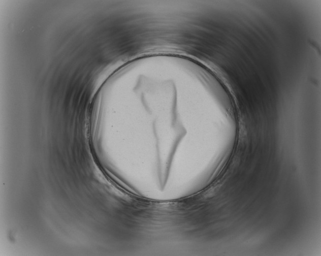 X0000100901390200807220941