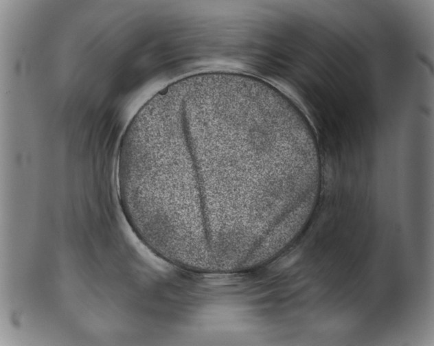 X0000100901391200807220941