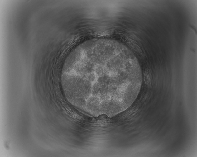 X0000100901393200807220940