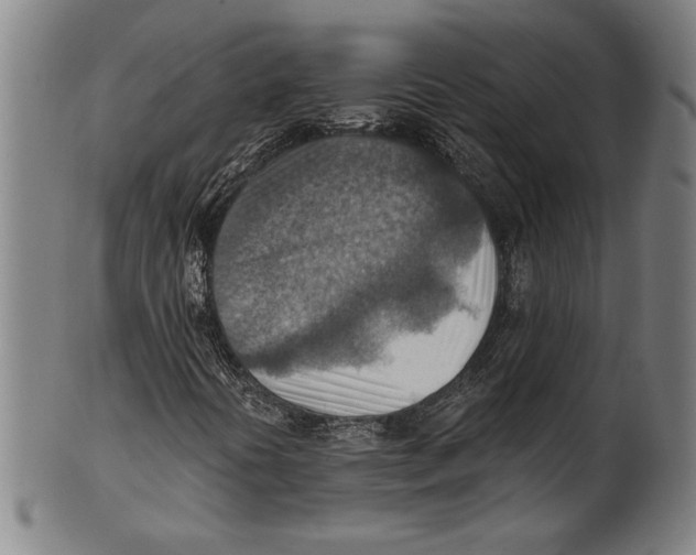 X0000100901394200807220940