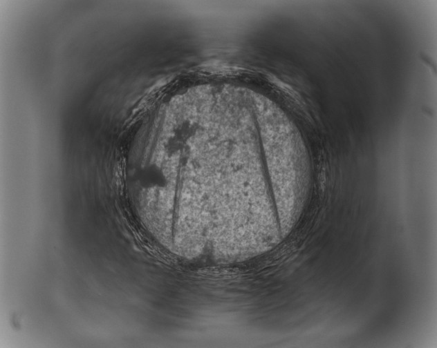 X0000100901397200807220940