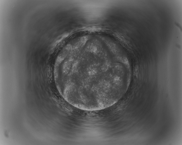 X0000100901398200807220940