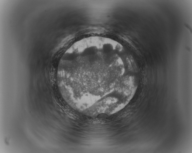 X0000100901399200807220940