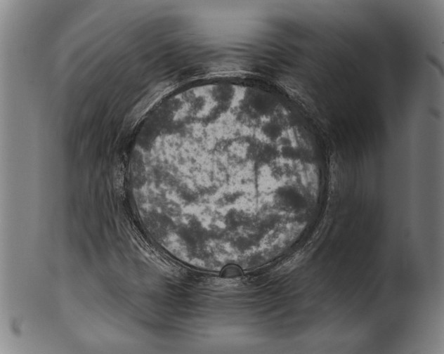 X0000100901401200807220941