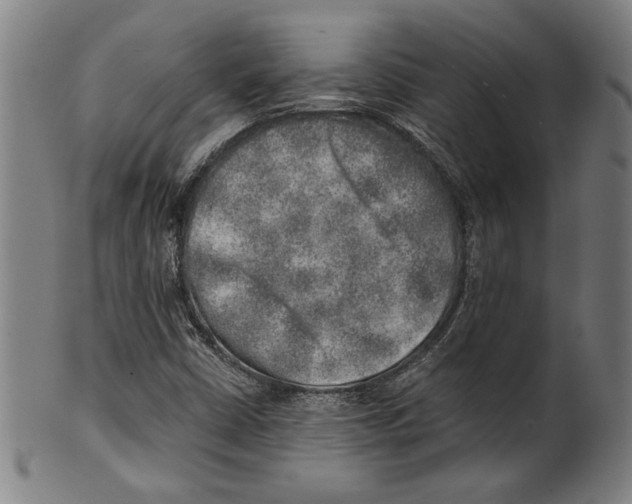 X0000100901402200807220941