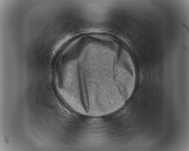 X0000100901406200807220941