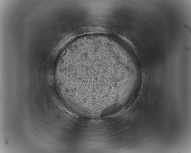 X0000100901407200807220941