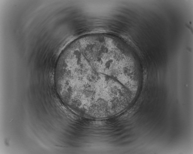 X0000100901409200807220941