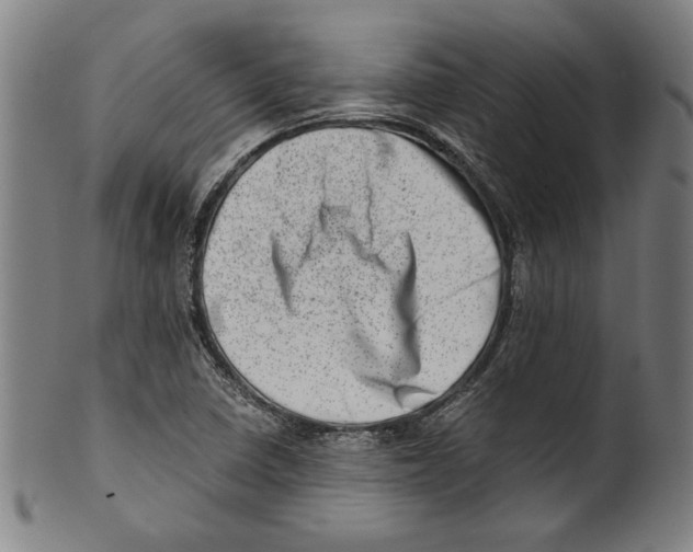 X0000100901410200807220941