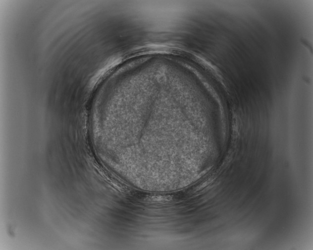 X0000100901411200807220941