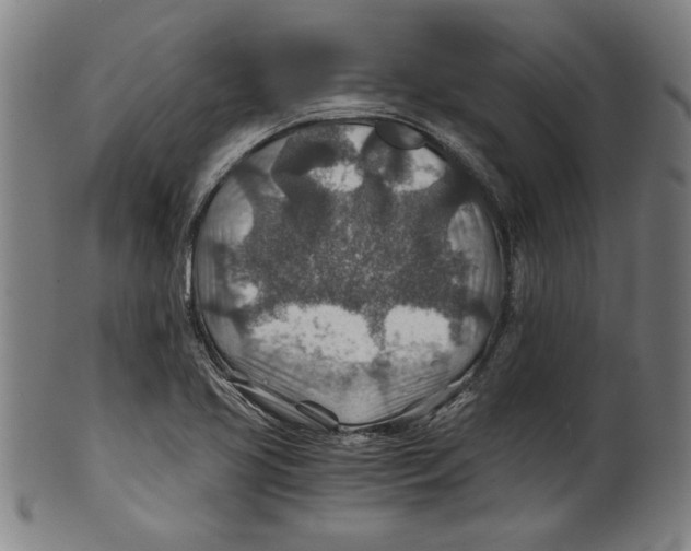 X0000100901413200807220941