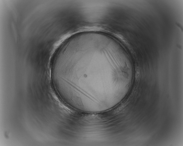 X0000100901414200807220941