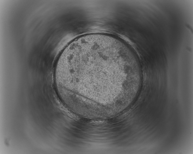 X0000100901415200807220941