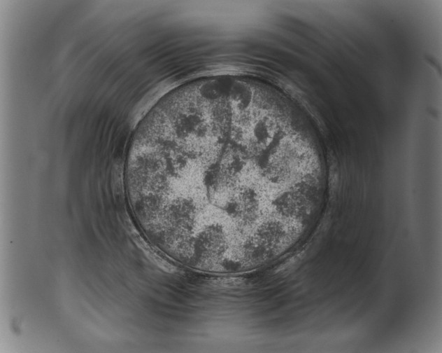 X0000100901417200807220941