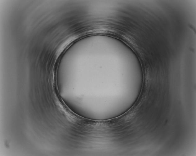 X0000100901418200807220941