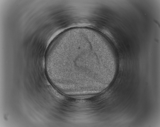 X0000100901420200807220941