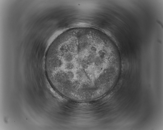 X0000100901421200807220941