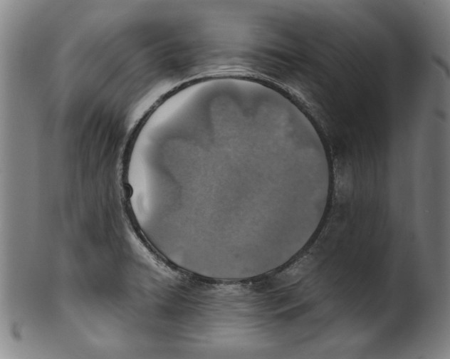 X0000100901422200807220941