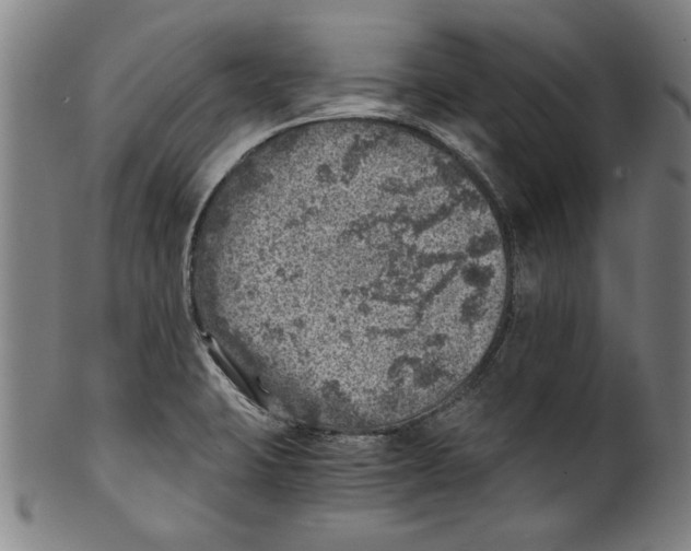 X0000100901423200807220941