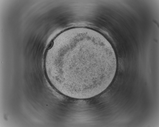 X0000100901424200807220941