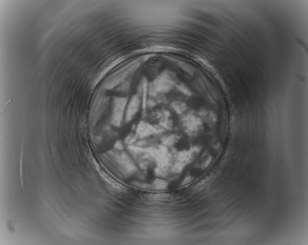 X0000100901425200807220941