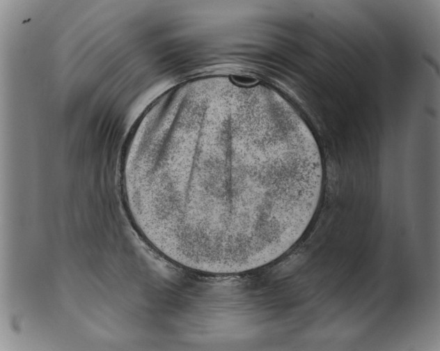 X0000100901426200807220941