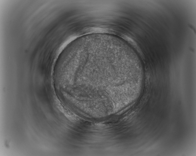 X0000100901427200807220941