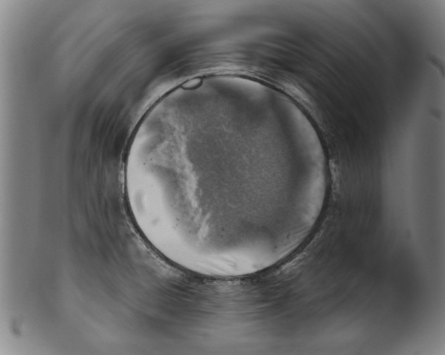 X0000100901428200807220941