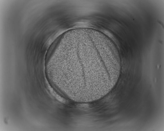 X0000100901431200807220941