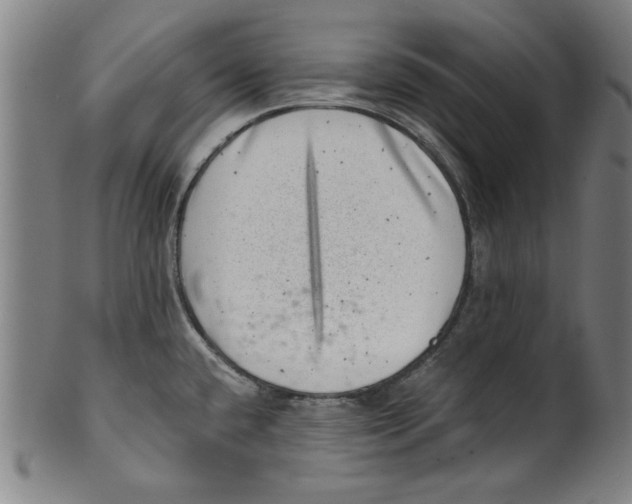 X0000100901432200807220941