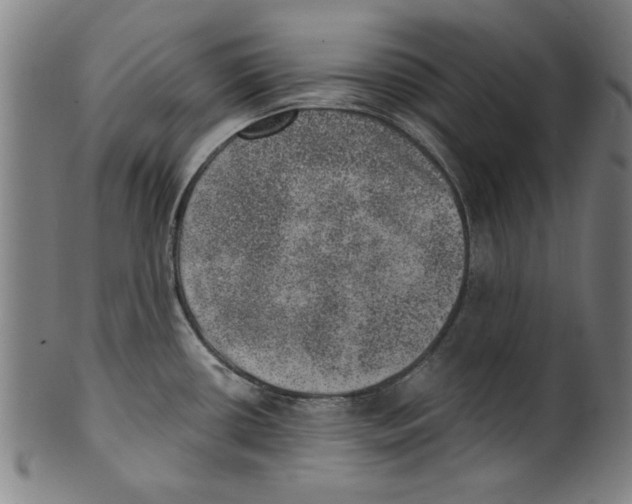 X0000100901434200807220941