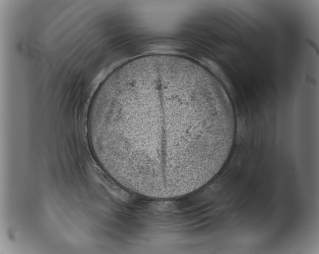 X0000100901435200807220941