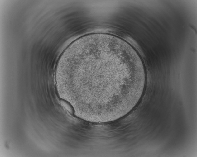 X0000100901436200807220941