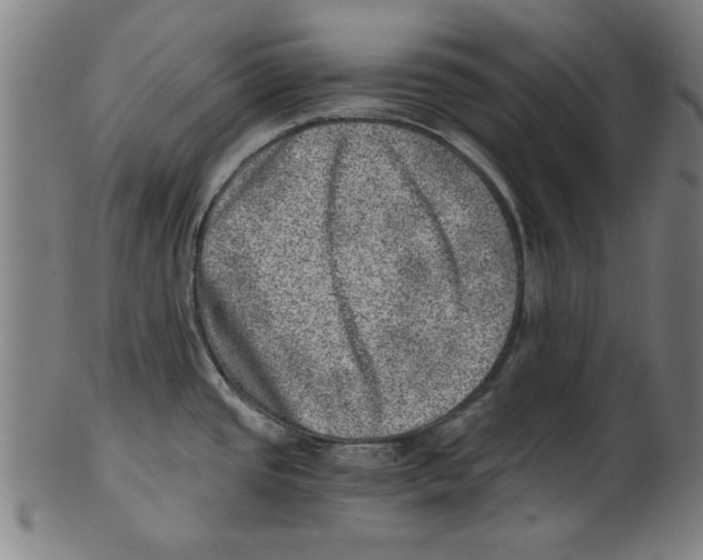 X0000100901437200807220941