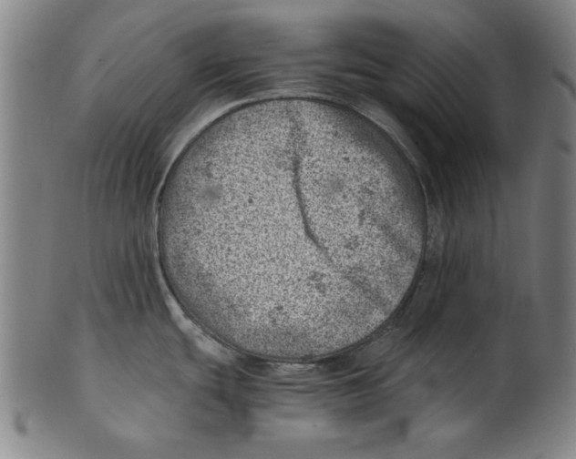 X0000100901439200807220941