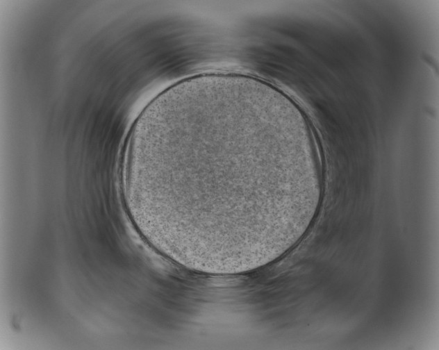 X0000100901440200807220941