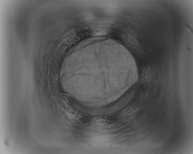 X0000100901441200807220940