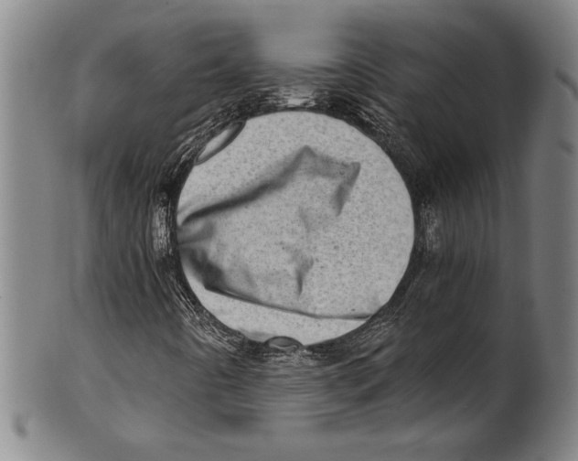 X0000100901442200807220940