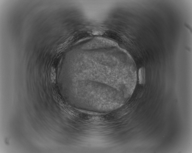 X0000100901443200807220940